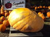 Filename=20111023_004.jpg
Filesize=167KiB
Dimensions=1024x768
Date added=Dec 11, 2011 20111023_004.jpg