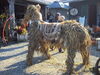 Filename=20111023_005.jpg
Filesize=246KiB
Dimensions=1024x768
Date added=Dec 11, 2011 20111023_005.jpg