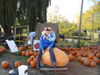 Filename=20111023_009.jpg
Filesize=247KiB
Dimensions=1024x768
Date added=Dec 11, 2011 20111023_009.jpg