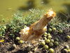 Filename=20111023_013.jpg
Filesize=233KiB
Dimensions=1024x768
Date added=Dec 11, 2011 20111023_013.jpg