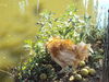 Filename=20111023_014.jpg
Filesize=169KiB
Dimensions=1024x768
Date added=Dec 11, 2011 20111023_014.jpg