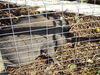 Filename=20111023_015.jpg
Filesize=281KiB
Dimensions=1024x768
Date added=Dec 11, 2011 20111023_015.jpg