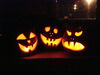 Filename=20111030_005.jpg
Filesize=119KiB
Dimensions=1024x768
Date added=Dec 11, 2011 20111030_005.jpg