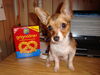 Filename=20111031_001.jpg
Filesize=158KiB
Dimensions=1024x768
Date added=Dec 11, 2011 20111031_001.jpg