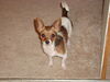 Filename=20111109_001.jpg
Filesize=184KiB
Dimensions=1024x768
Date added=Dec 11, 2011 20111109_001.jpg