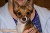 Filename=20111110_001.jpg
Filesize=148KiB
Dimensions=1023x685
Date added=Dec 11, 2011 20111110_001.jpg