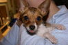 Filename=20111110_003.jpg
Filesize=147KiB
Dimensions=1023x685
Date added=Dec 11, 2011 20111110_003.jpg