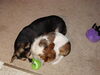 Filename=20111114_001.jpg
Filesize=183KiB
Dimensions=1024x768
Date added=Dec 11, 2011 20111114_001.jpg