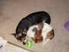 Filename=20111114_002.jpg
Filesize=185KiB
Dimensions=1024x768
Date added=Dec 11, 2011 20111114_002.jpg