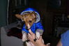 Filename=20111117_001.jpg
Filesize=123KiB
Dimensions=1023x685
Date added=Dec 11, 2011 20111117_001.jpg