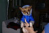 Filename=20111117_002.jpg
Filesize=126KiB
Dimensions=1023x685
Date added=Dec 11, 2011 20111117_002.jpg