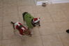 Filename=20111223_001.jpg
Filesize=125KiB
Dimensions=1023x685
Date added=Feb 21, 2012 20111223_001.jpg
