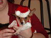 Filename=20111223_003.jpg
Filesize=118KiB
Dimensions=1024x768
Date added=Feb 21, 2012 20111223_003.jpg