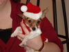 Filename=20111223_004.jpg
Filesize=118KiB
Dimensions=1024x768
Date added=Feb 21, 2012 20111223_004.jpg