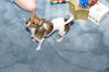 Filename=20111225_020.jpg
Filesize=144KiB
Dimensions=1023x685
Date added=Feb 21, 2012 20111225_020.jpg