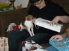 Filename=20111225_037.jpg
Filesize=167KiB
Dimensions=1024x768
Date added=Feb 21, 2012 20111225_037.jpg