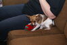 Filename=20111225_058.jpg
Filesize=168KiB
Dimensions=1023x685
Date added=Feb 21, 2012 20111225_058.jpg