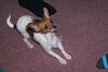 Filename=20120316_001.jpg
Filesize=196KiB
Dimensions=1023x685
Date added=Aug 03, 2012 20120316_001.jpg