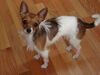 Filename=20120408_042.jpg
Filesize=127KiB
Dimensions=1024x768
Date added=Apr 17, 2012 20120408_042.jpg
