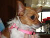 Filename=20120409_014.jpg
Filesize=114KiB
Dimensions=1024x768
Date added=Apr 17, 2012 20120409_014.jpg