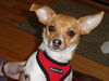 Filename=20120409_015.jpg
Filesize=133KiB
Dimensions=1024x768
Date added=Apr 17, 2012 20120409_015.jpg
