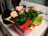 Filename=20120512_001.jpg
Filesize=137KiB
Dimensions=1024x768
Date added=Aug 03, 2012 20120512_001.jpg