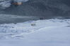 Filename=20120519_018.jpg
Filesize=123KiB
Dimensions=1023x685
Date added=Aug 03, 2012 20120519_018.jpg