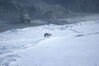 Filename=20120519_019.jpg
Filesize=120KiB
Dimensions=1023x685
Date added=Aug 03, 2012 20120519_019.jpg