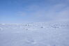Filename=20120519_035.jpg
Filesize=107KiB
Dimensions=1023x685
Date added=Aug 03, 2012 20120519_035.jpg
