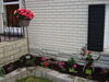 Filename=20120529_002.jpg
Filesize=160KiB
Dimensions=1024x768
Date added=Aug 03, 2012 20120529_002.jpg