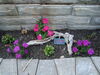 Filename=20120623_008.jpg
Filesize=230KiB
Dimensions=1024x768
Date added=Aug 03, 2012 20120623_008.jpg