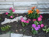 Filename=20120623_011.jpg
Filesize=237KiB
Dimensions=1024x768
Date added=Aug 03, 2012 20120623_011.jpg