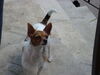 Filename=20120630_005.jpg
Filesize=93KiB
Dimensions=1024x768
Date added=Aug 03, 2012 20120630_005.jpg