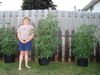 Filename=20120630_017.jpg
Filesize=198KiB
Dimensions=1024x768
Date added=Aug 03, 2012 20120630_017.jpg