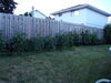 Filename=20120630_024.jpg
Filesize=192KiB
Dimensions=1024x768
Date added=Aug 03, 2012 20120630_024.jpg