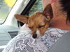 Filename=20120713_001.jpg
Filesize=153KiB
Dimensions=1024x768
Date added=Mar 24, 2013 20120713_001.jpg