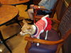 Filename=20120719_008.jpg
Filesize=150KiB
Dimensions=1024x768
Date added=Mar 24, 2013 20120719_008.jpg