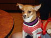 Filename=20120719_011.jpg
Filesize=146KiB
Dimensions=1024x768
Date added=Mar 24, 2013 20120719_011.jpg