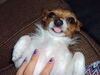 Filename=20120724_001.jpg
Filesize=115KiB
Dimensions=1024x768
Date added=Mar 24, 2013 20120724_001.jpg