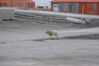 Filename=20120809_012.jpg
Filesize=546KiB
Dimensions=2047x1370
Date added=Oct 16, 2020 20120809_012.jpg