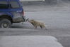 Filename=20120809_015.jpg
Filesize=395KiB
Dimensions=2047x1370
Date added=Oct 16, 2020 20120809_015.jpg
