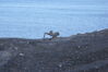 Filename=20120810_018.jpg
Filesize=466KiB
Dimensions=2047x1370
Date added=Oct 16, 2020 20120810_018.jpg