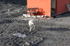 Filename=20120811_003.jpg
Filesize=719KiB
Dimensions=2047x1370
Date added=Oct 16, 2020 20120811_003.jpg