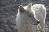 Filename=20120811_004.jpg
Filesize=313KiB
Dimensions=2047x1370
Date added=Oct 16, 2020 20120811_004.jpg