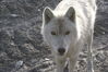 Filename=20120811_005.jpg
Filesize=361KiB
Dimensions=2047x1370
Date added=Oct 16, 2020 20120811_005.jpg
