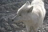 Filename=20120811_006.jpg
Filesize=404KiB
Dimensions=2047x1370
Date added=Oct 16, 2020 20120811_006.jpg
