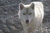 Filename=20120811_007.jpg
Filesize=372KiB
Dimensions=2047x1370
Date added=Oct 16, 2020 20120811_007.jpg