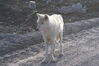 Filename=20120811_008.jpg
Filesize=580KiB
Dimensions=2047x1370
Date added=Oct 16, 2020 20120811_008.jpg