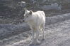 Filename=20120811_009.jpg
Filesize=562KiB
Dimensions=2047x1370
Date added=Oct 16, 2020 20120811_009.jpg