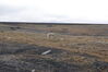 Filename=20120811_018.jpg
Filesize=474KiB
Dimensions=2047x1370
Date added=Oct 16, 2020 20120811_018.jpg
